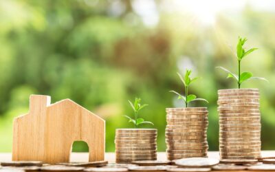 Leveraging the Growth of the Palm Harbor Real Estate Market to Sell Your Home