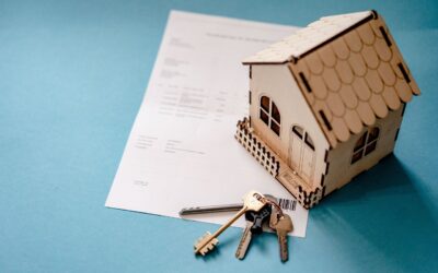 Navigating the Palm Harbor Real Estate Market: A Guide for Homebuyers