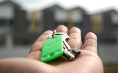 Preparing Your Palm Harbor Home for Families: A Seller’s Guide