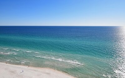 Selling the Magic of Palm Harbor: How to Attract Homebuyers