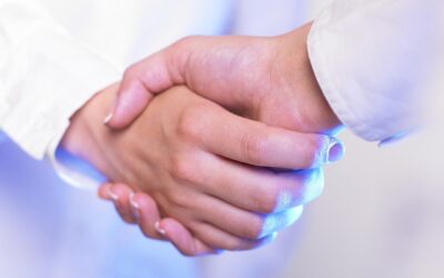 The Benefits of Working with a Well-Connected Realtor When Selling Your Home in Palm Harbor, FL