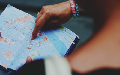 Understanding the Real Estate Market in Palm Harbor, FL: A Seller’s Guide