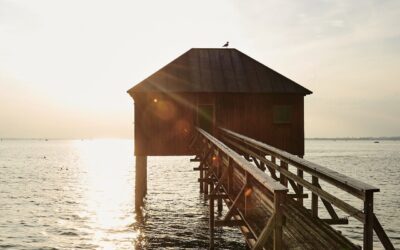 Top 5 Unique Strategies for Selling Your Home in Palm Harbor