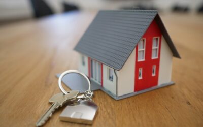 Top 5 Reasons Why Now is the Time to Sell Your Home in Palm Harbor, FL
