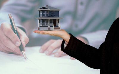 5 Reasons a Palm Harbor Realtor is Key to Turning Your Home into a Hot Property