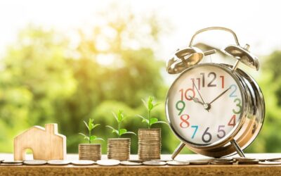 10 Ways to Benefit from the Real Estate Surge in Palm Harbor, FL