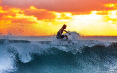 Top 10 Tips for Home Sellers to Ride the Palm Harbor Real Estate Boom