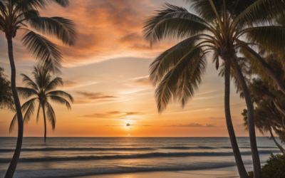 13 Beach Living Essentials for New Homeowners in Palm Harbor: Embrace the Coastal Life