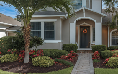 How to Create a Curb Appeal Oasis in Palm Harbor: 8 Budget-Friendly Ideas