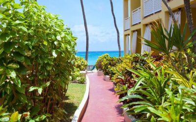 9 Low-Maintenance Landscaping Ideas for Palm Harbor Homes: Enhance Curb Appeal Without the Effort