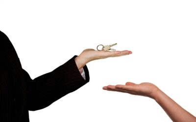 10 Questions to Ask Before Hiring a Palm Harbor Real Estate Agent