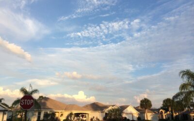 Top 10 Amenities to Look for in a Palm Harbor Neighborhood: Finding Your Ideal Community